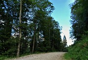 93 Dopo stradetta breve tratto  sulla strada-pista di sci e rientriamo al punto di partenza